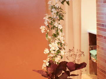 Chambre D'hôte Parisot 108493-11