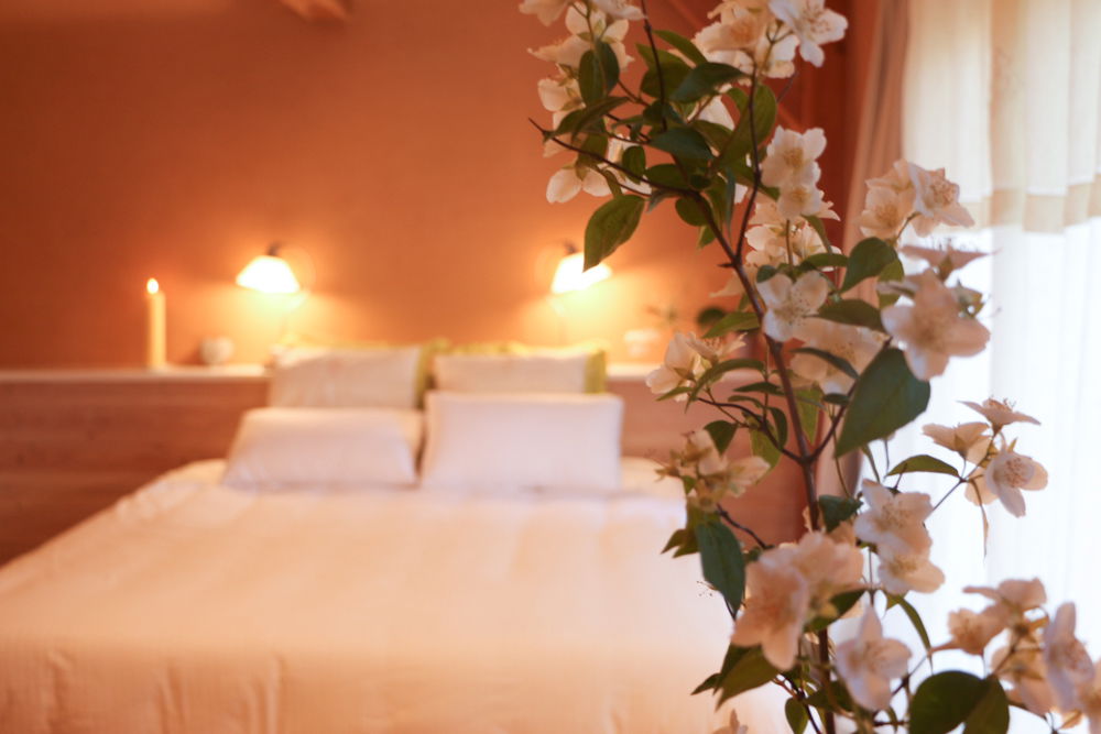 Gästezimmer Parisot 108493