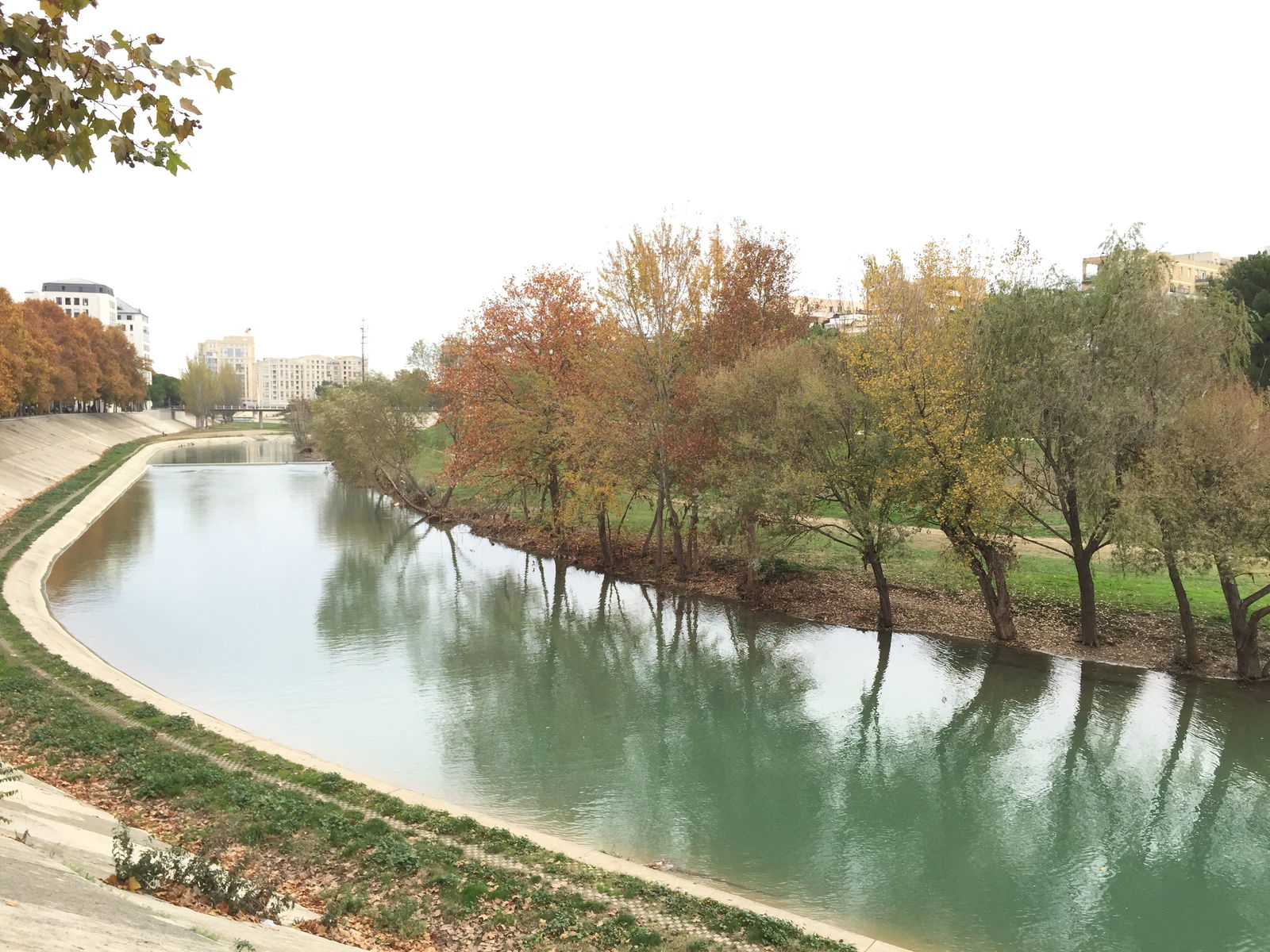 Monolocale Indipendente Montpellier 99727
