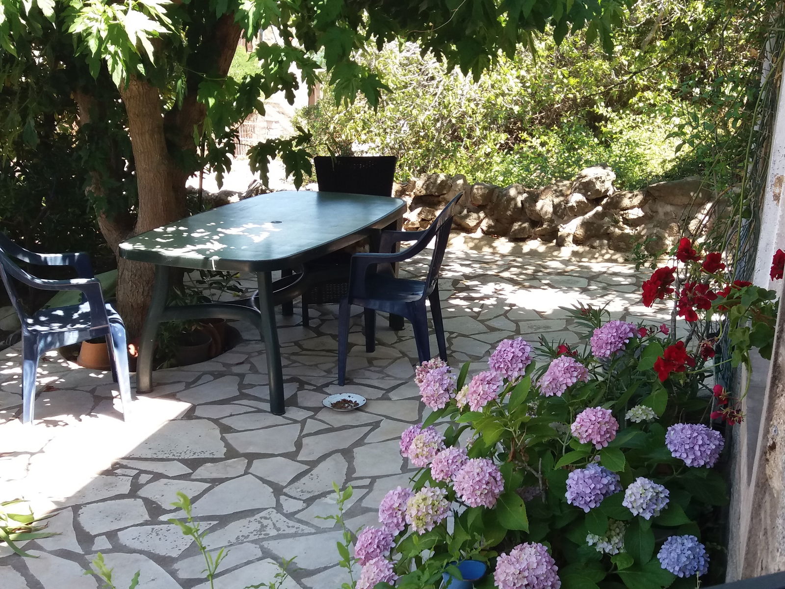 Camere Per Gli Ospiti Sotta 170636