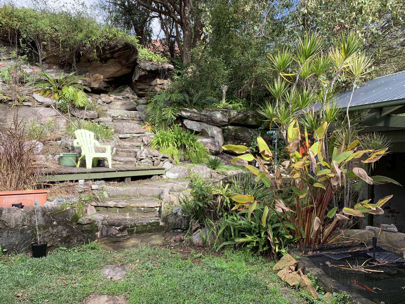 Famiglia Middle Cove 225610