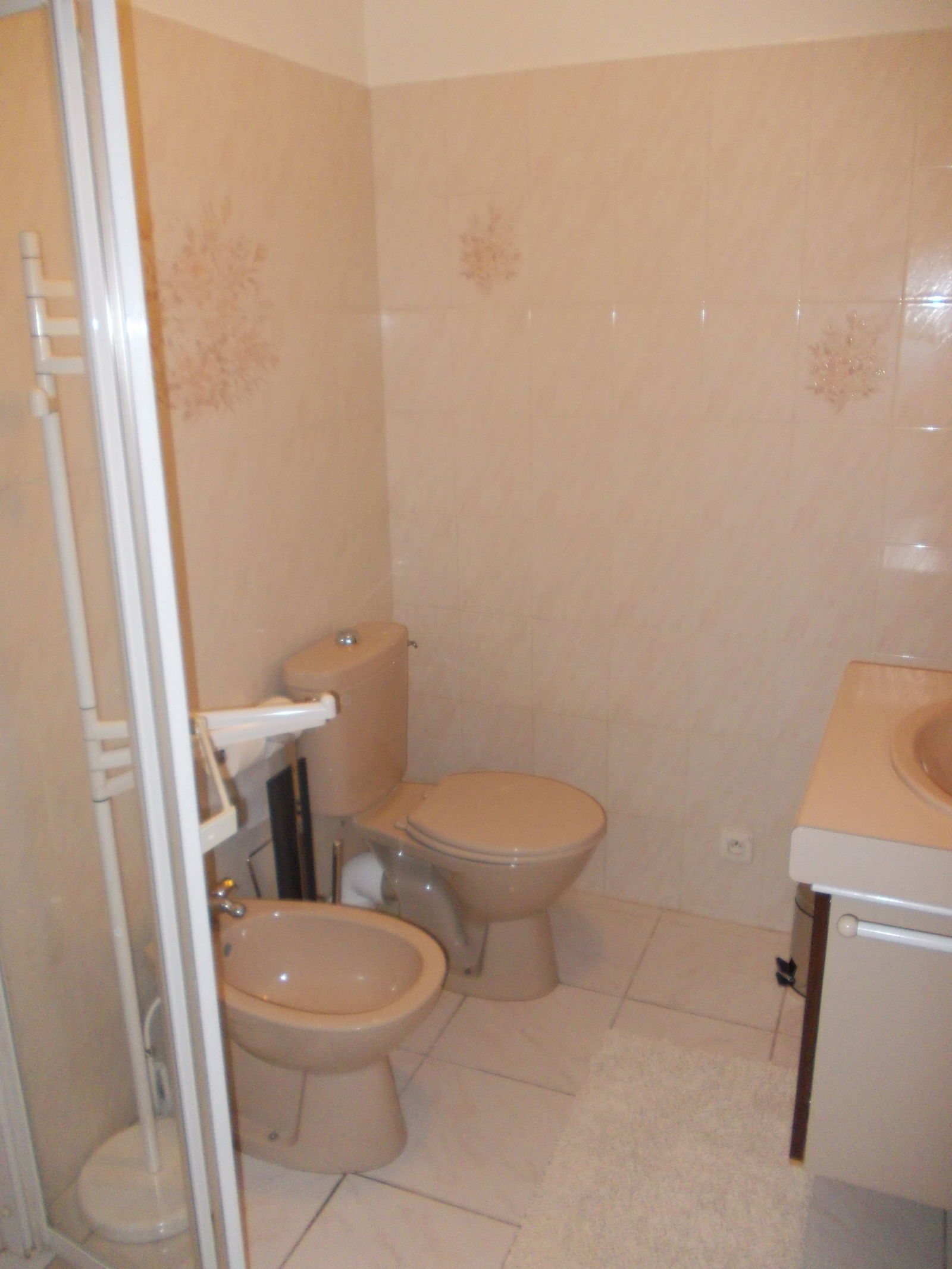 Colocatie Toulouse 150173