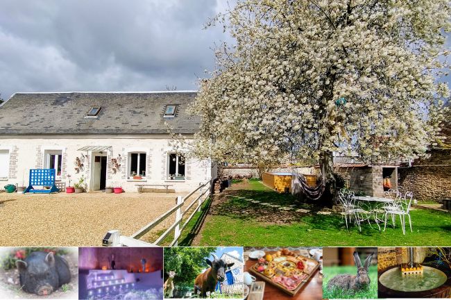 Gehele Woning La Couture-Boussey 646557