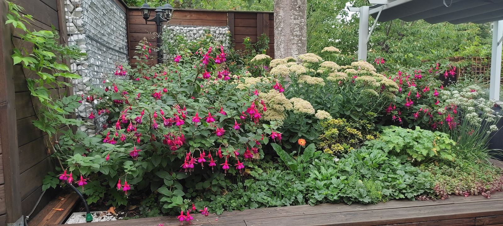 Homestay Chanteloup-en-Brie 347659