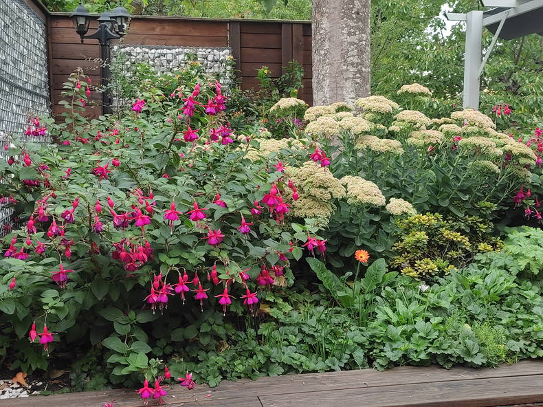 Quedarse En Casa Chanteloup-en-Brie 347659-5