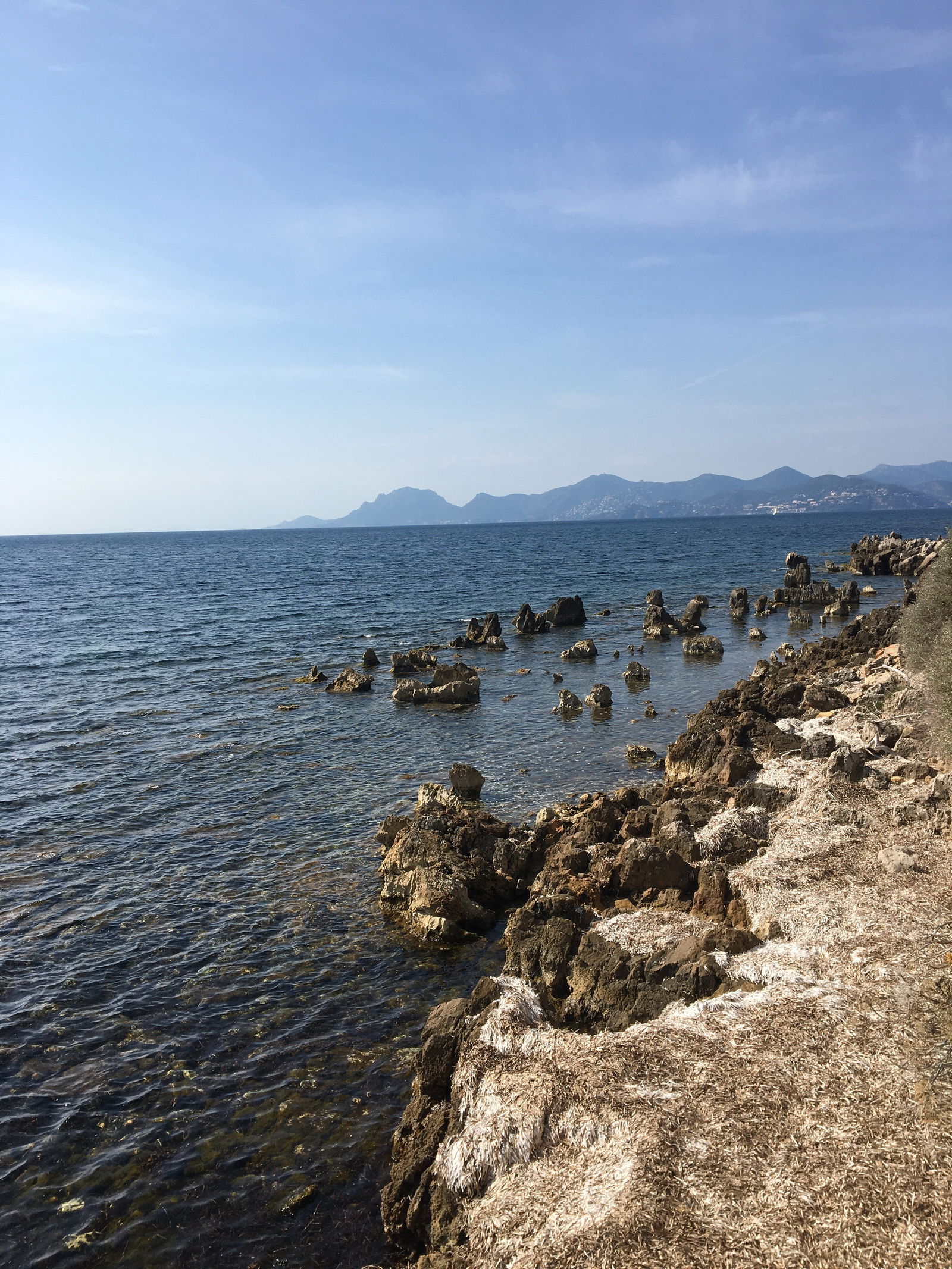 Independent Studio Cannes 257463