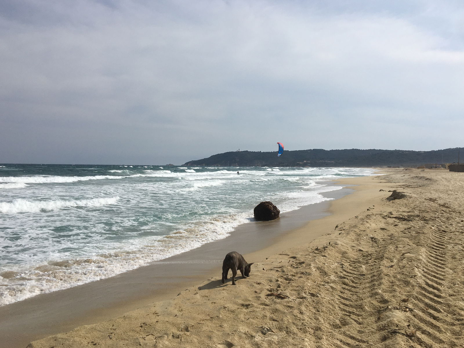 Independent Studio Cannes 257463