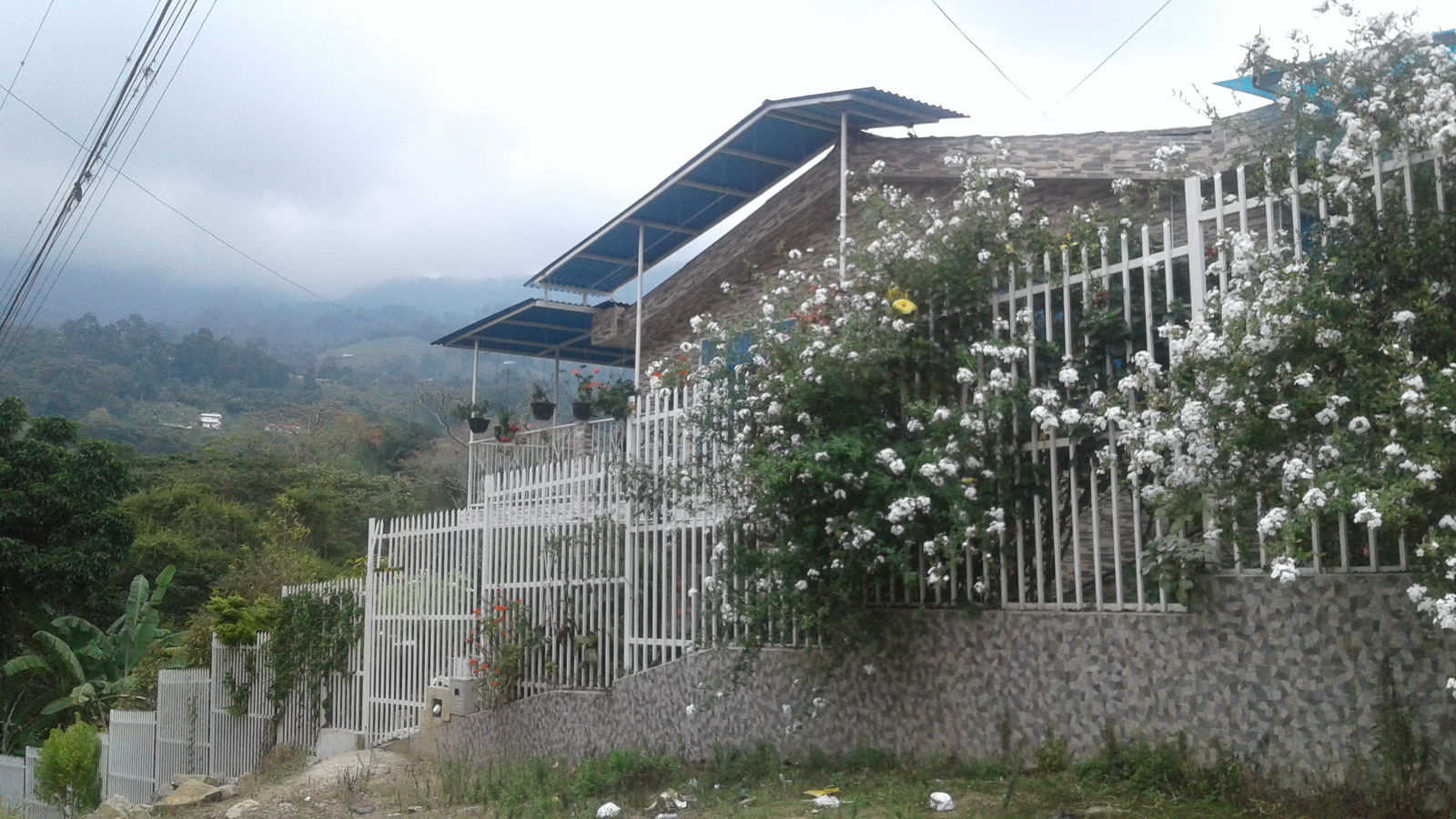 Colocation Fusagasugá 235357