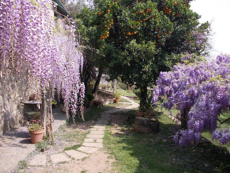 Toda La Casa Galicia 153984-5