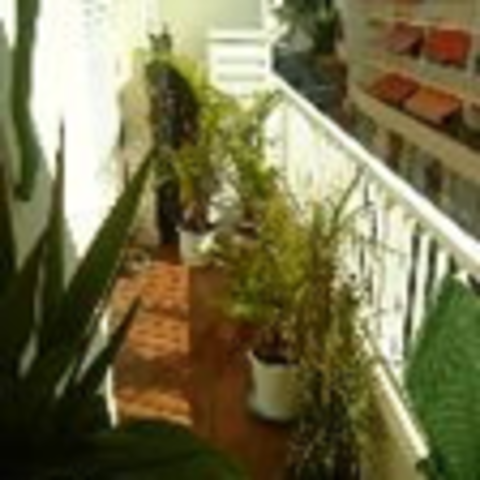 Homestay Cannes 39590