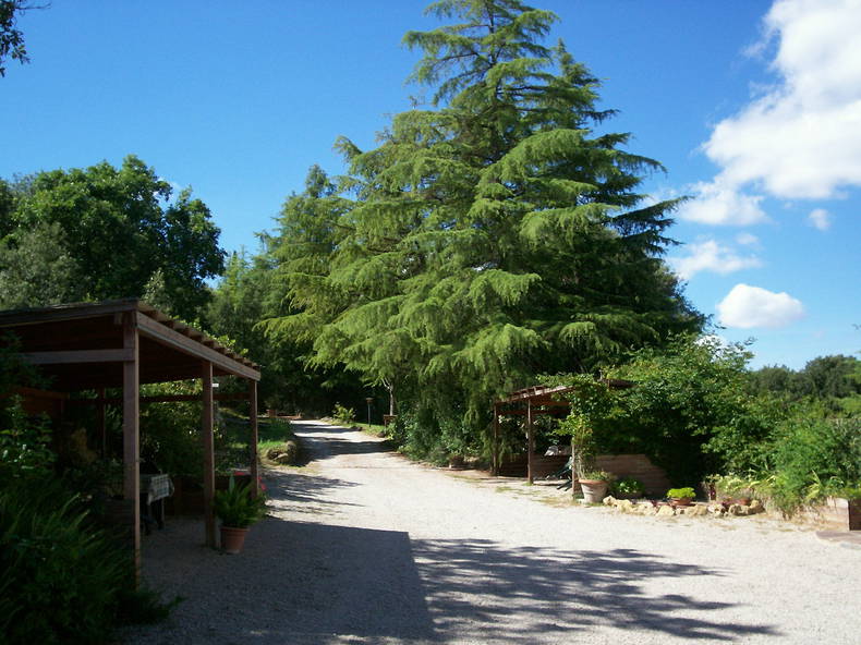 Ganzes Haus undefined 193216-4