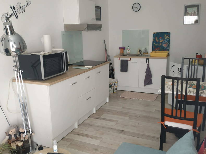 Entire Home Savigné-l'Évêque 258119-1