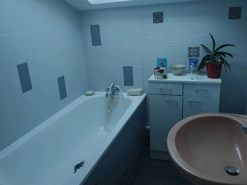 Entire Home Savigné-l'Évêque 258119-5