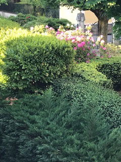 Homestay Charbonnières-les-Bains 244867