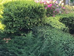 Tuisverblyf Charbonnières-Les-Bains 244988-10