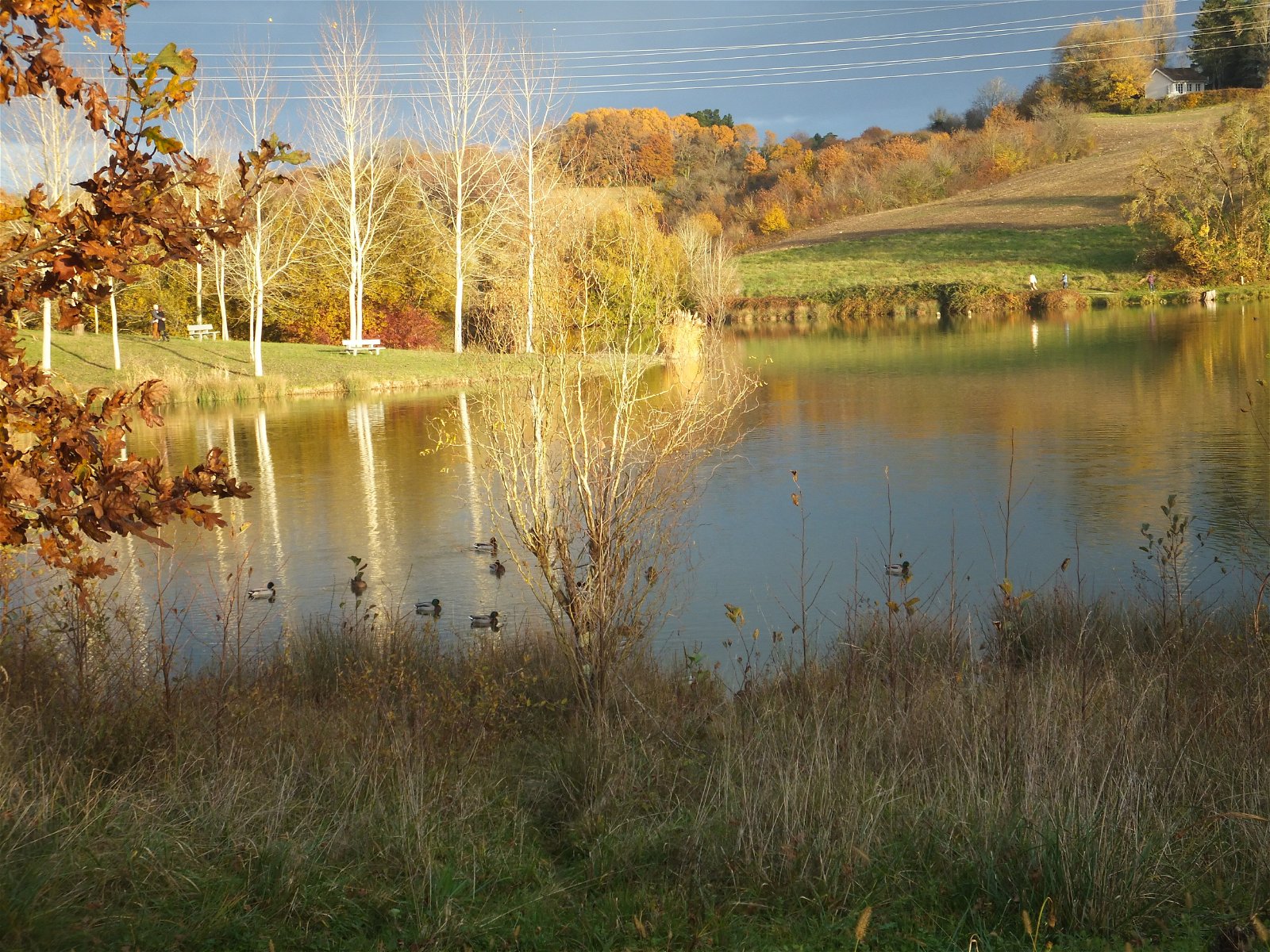 Tuisverblyf Orthez 230344