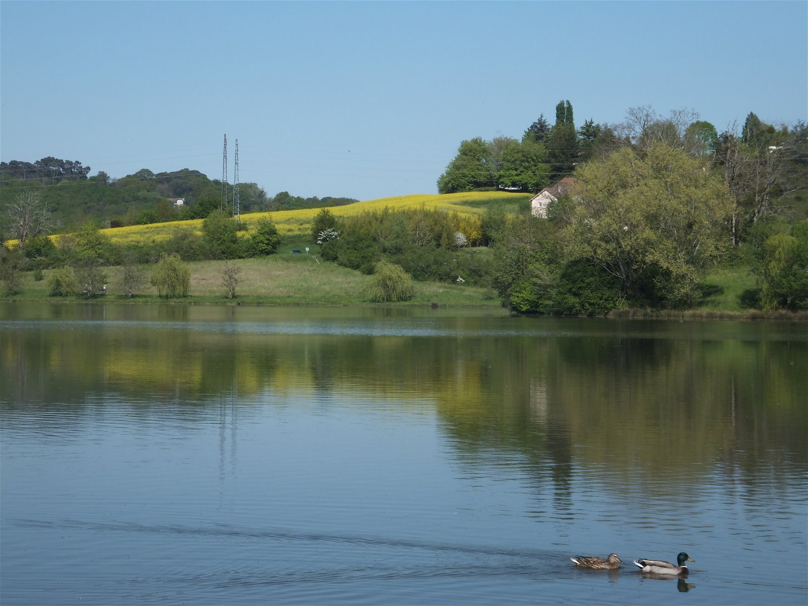 Tuisverblyf Orthez 230344