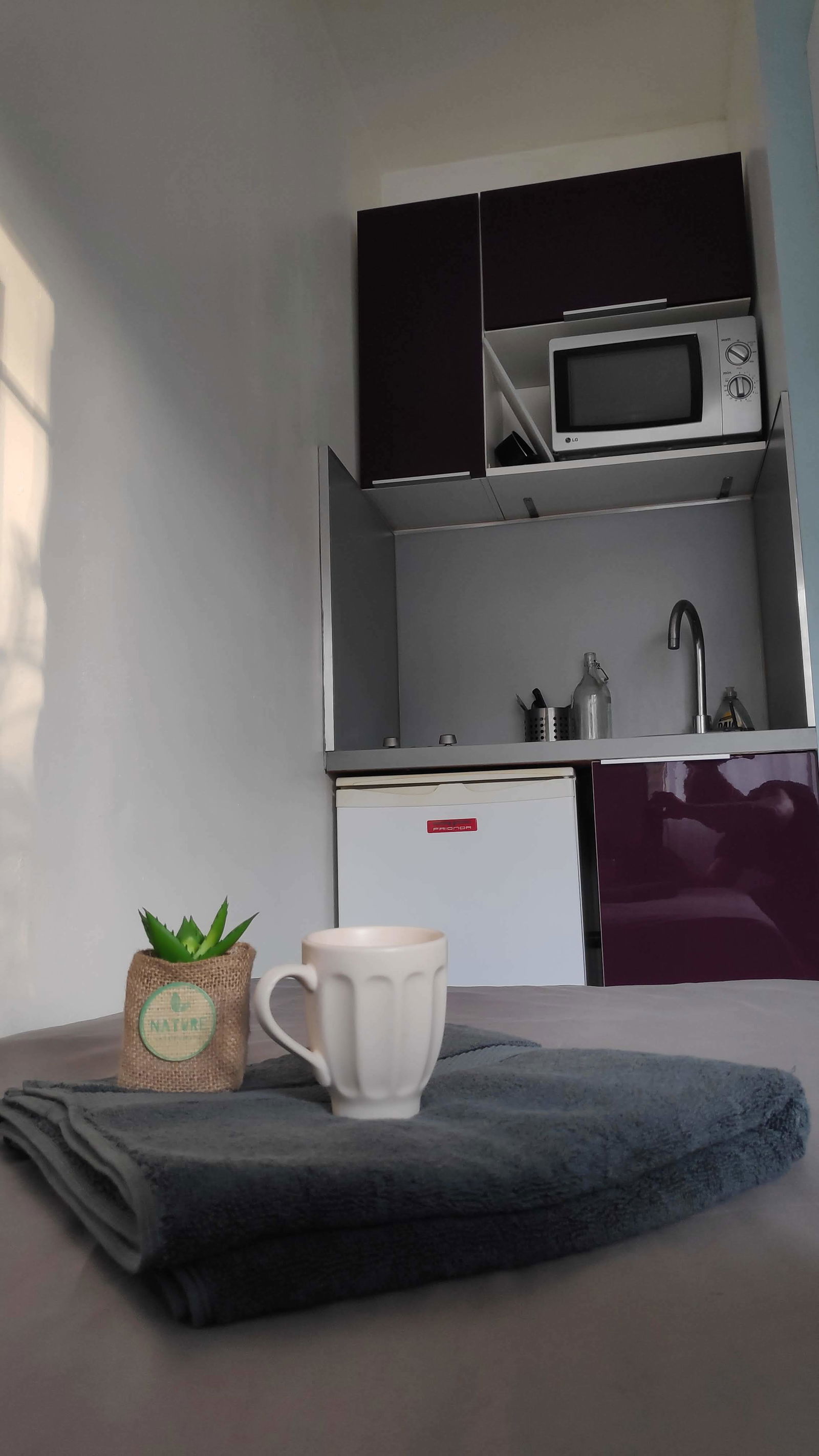 Estudio Independiente Marseille 260551