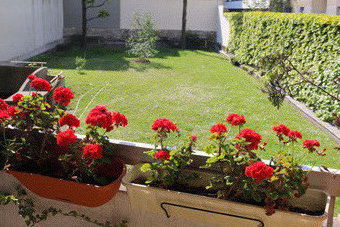 Estudio Independiente Paris 56532