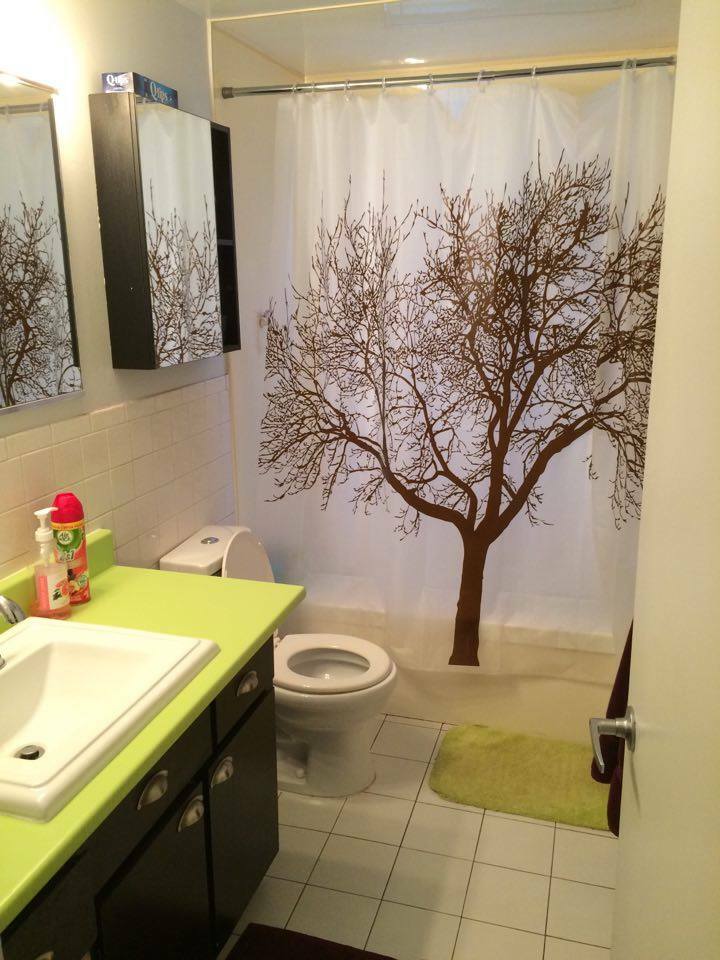 Colocação Ville de Québec 126689