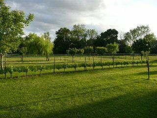 Colocação Lagruère 73962