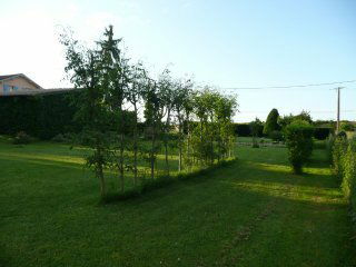 Colocação Lagruère 73962