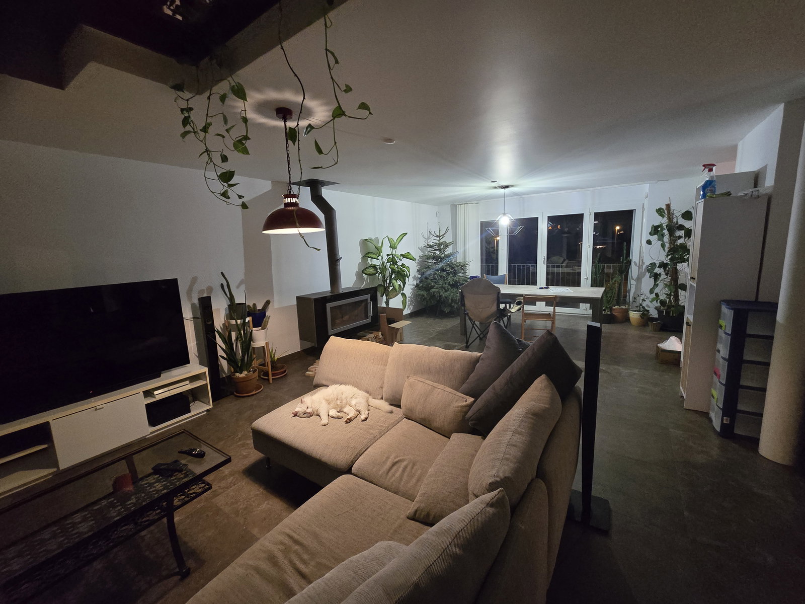Colocação Jongny 658022