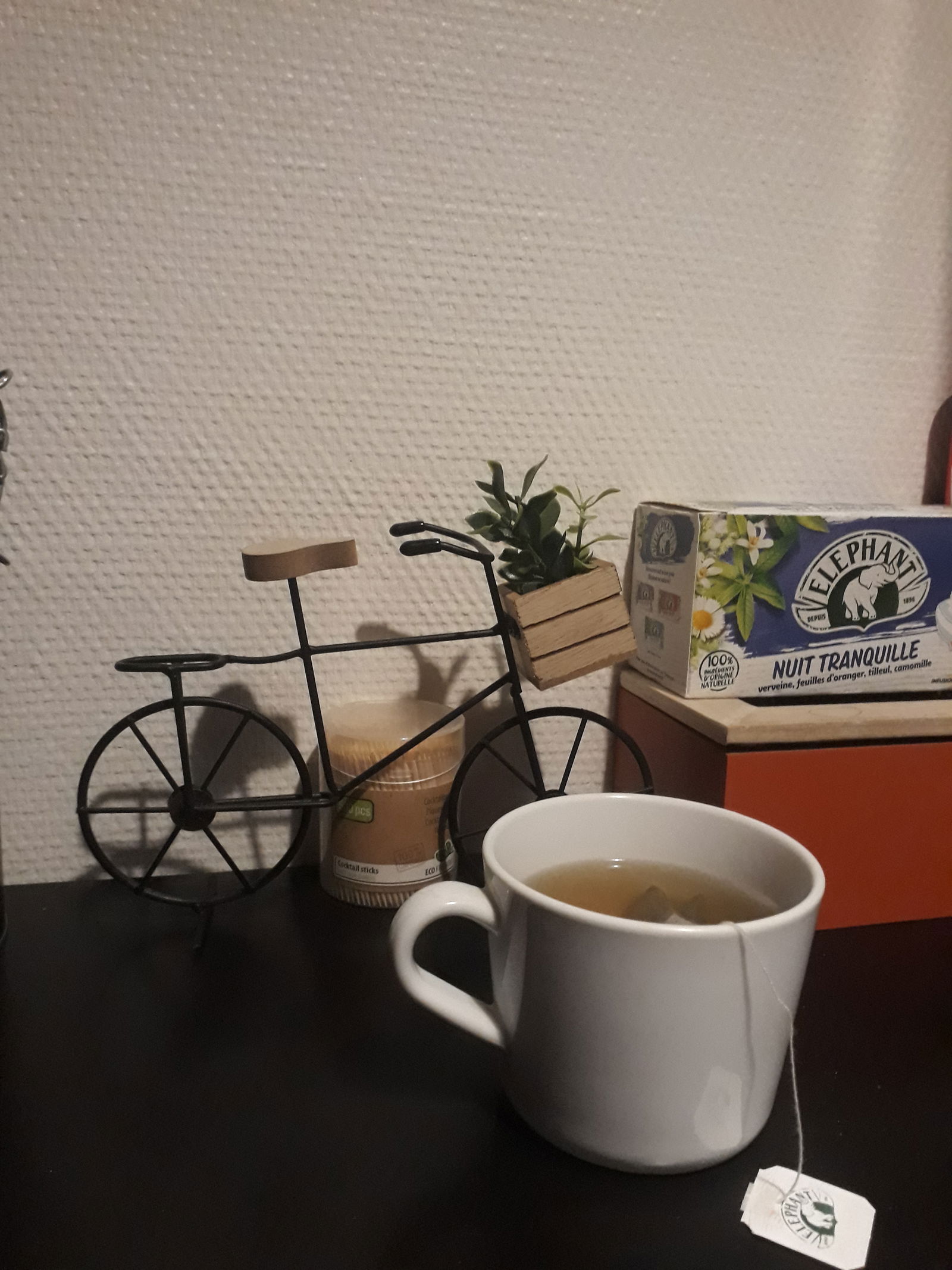 Colocação Strasbourg 246725