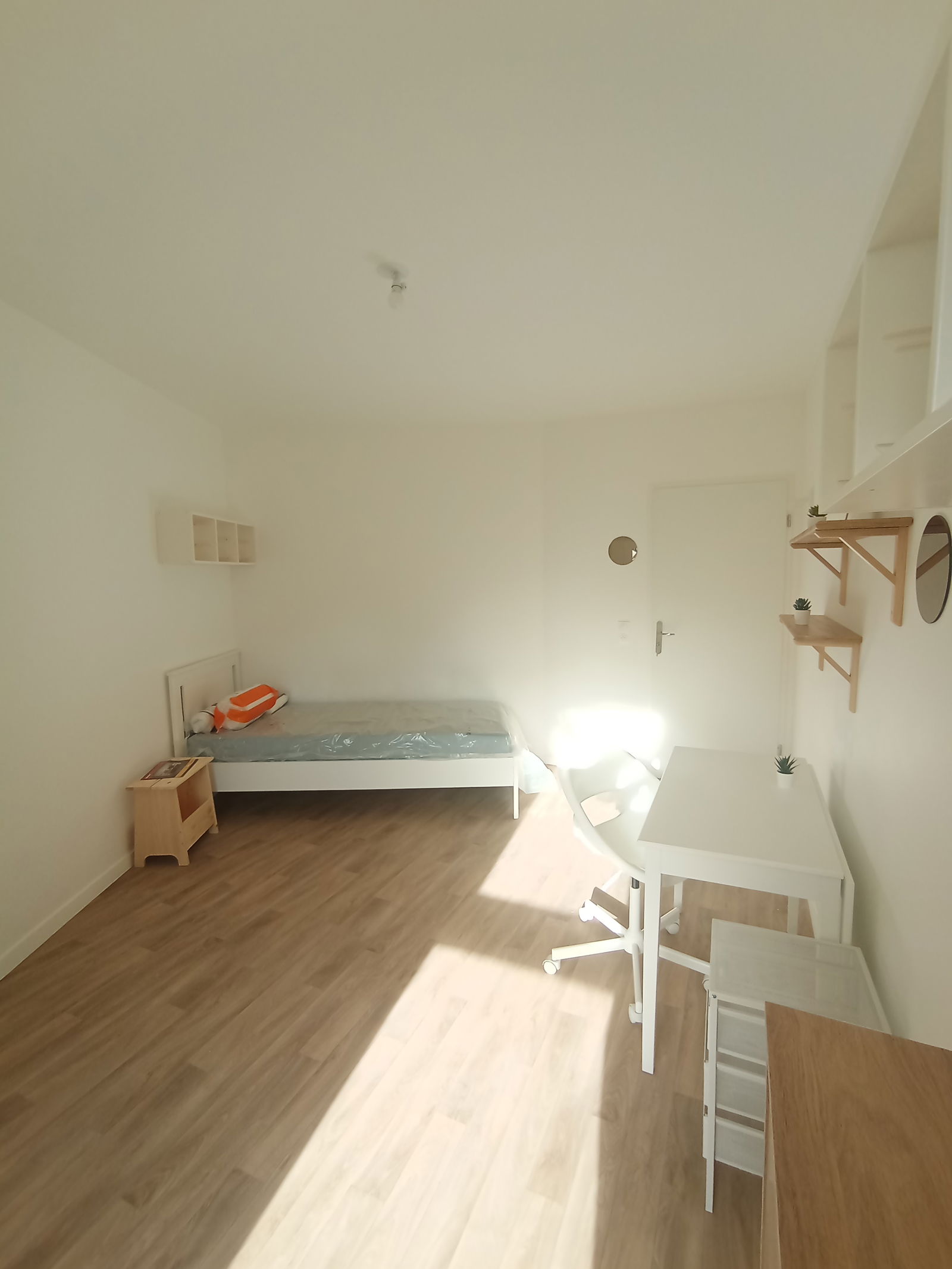 Colocação Stains 459048