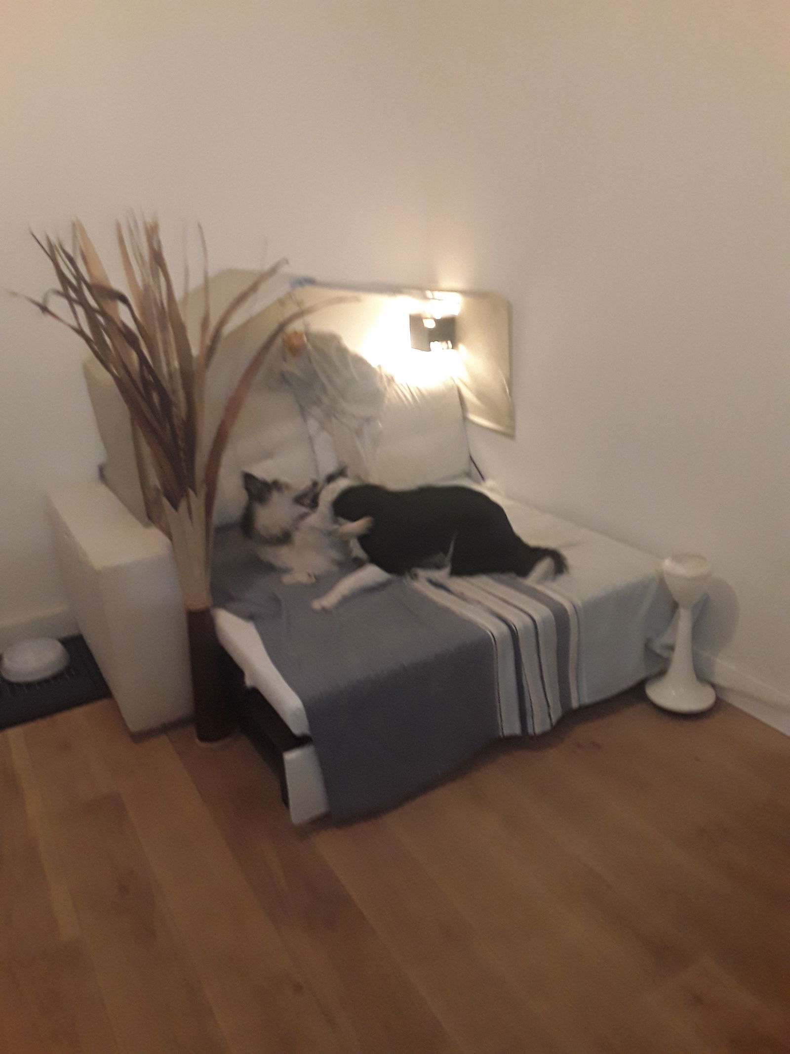 Colocação Urrugne 256635