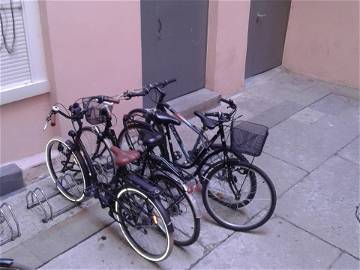 Logement Entier Lyon 180794-5