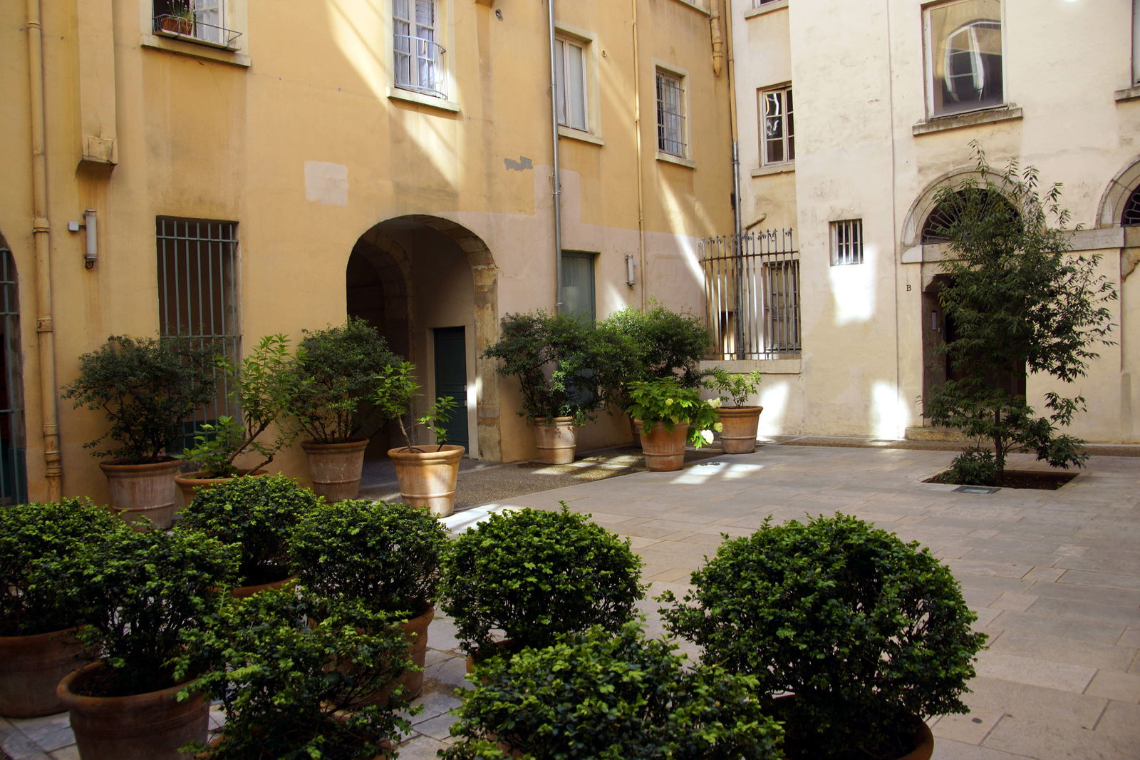 Estudio Independiente Lyon 180794