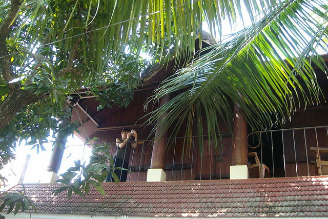 Habitaciones De Huéspedes Kochi 57653