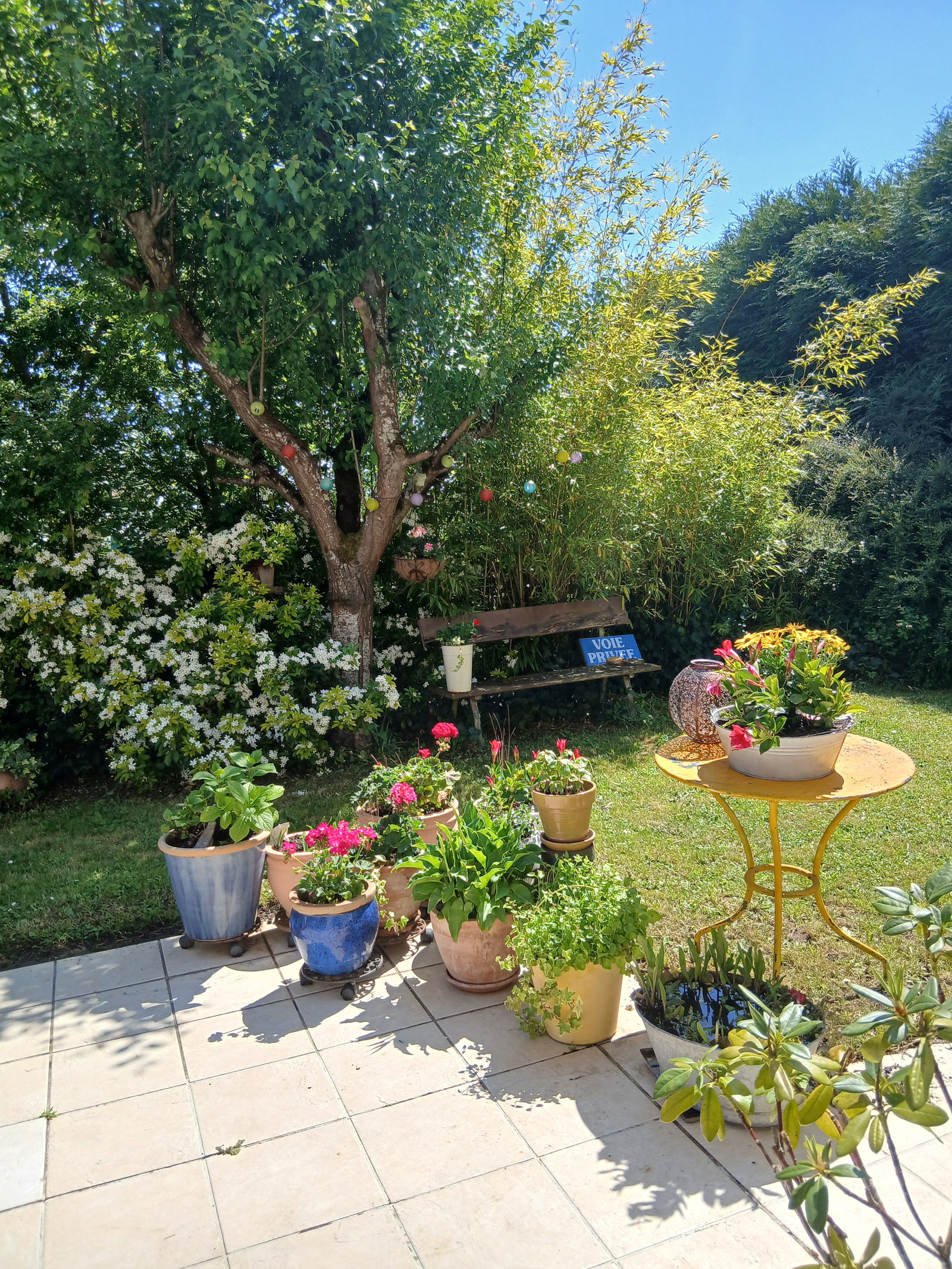 Homestay Ennery 54149