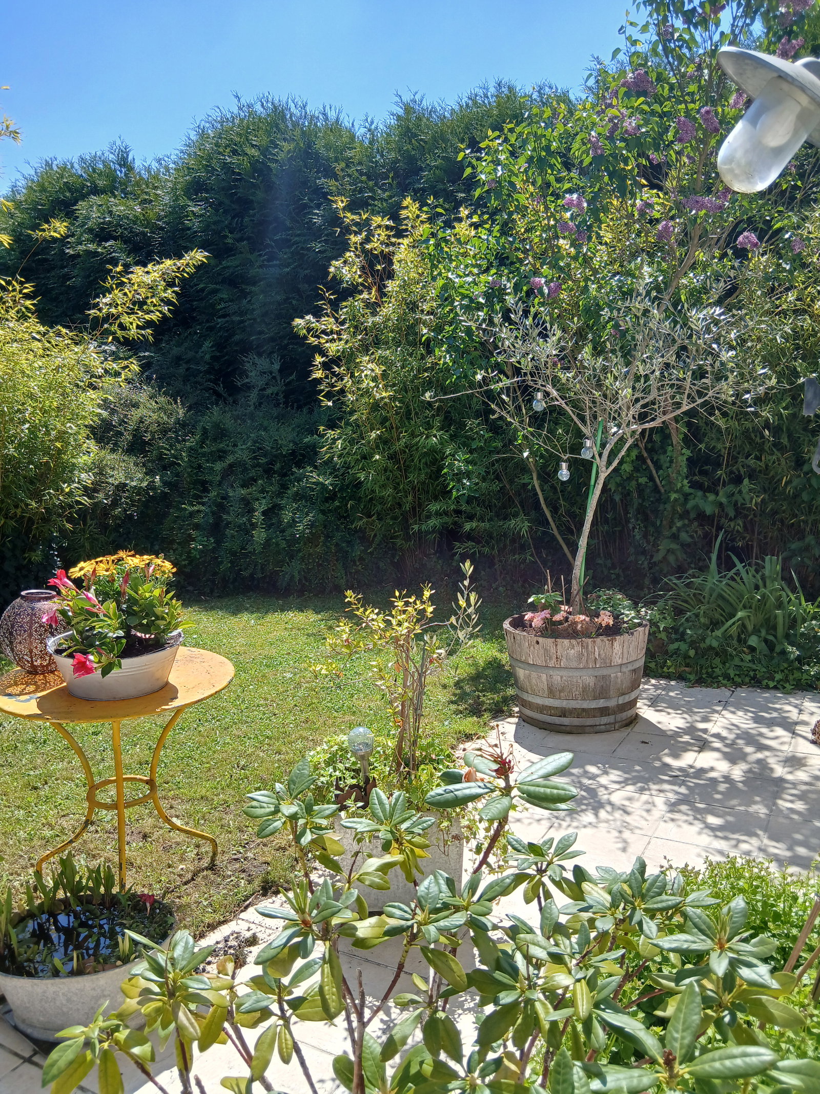 Gastfamilie Ennery 54149