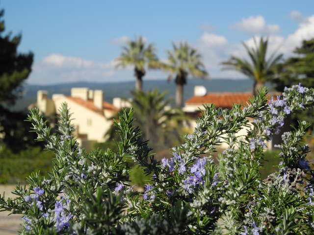 Estudio Independiente Saint-Cyr-sur-Mer 43175