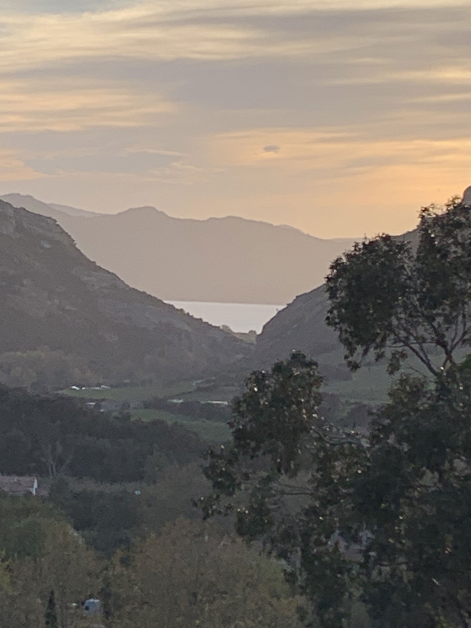 Famiglia Pancheraccia 260158