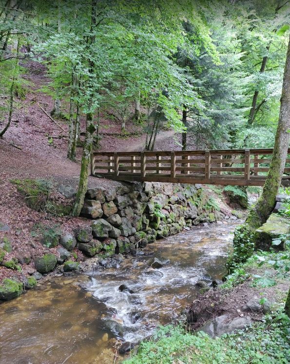 Tutta La Casa La Bourboule 259657