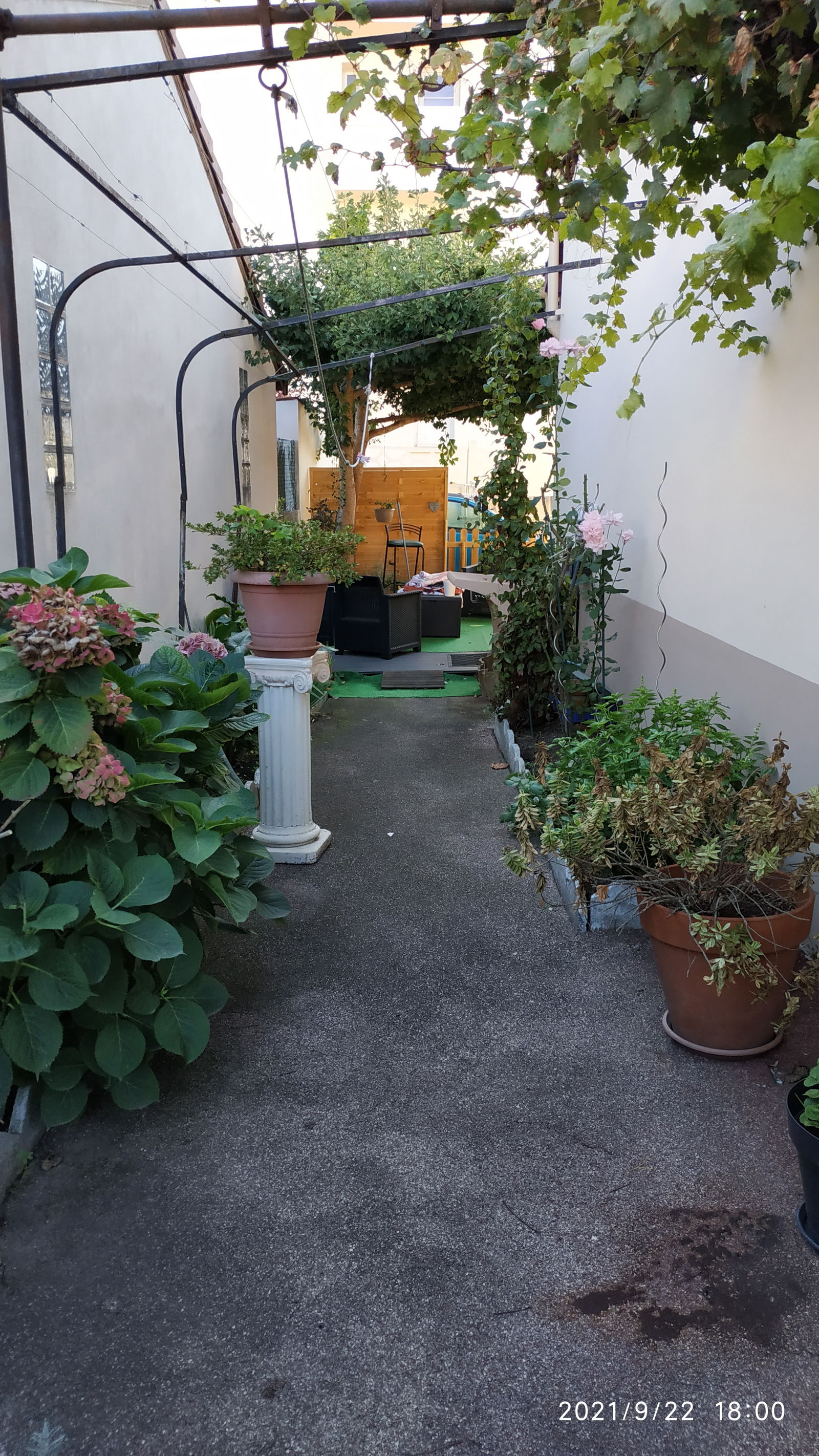 Famiglia Villeurbanne 246554