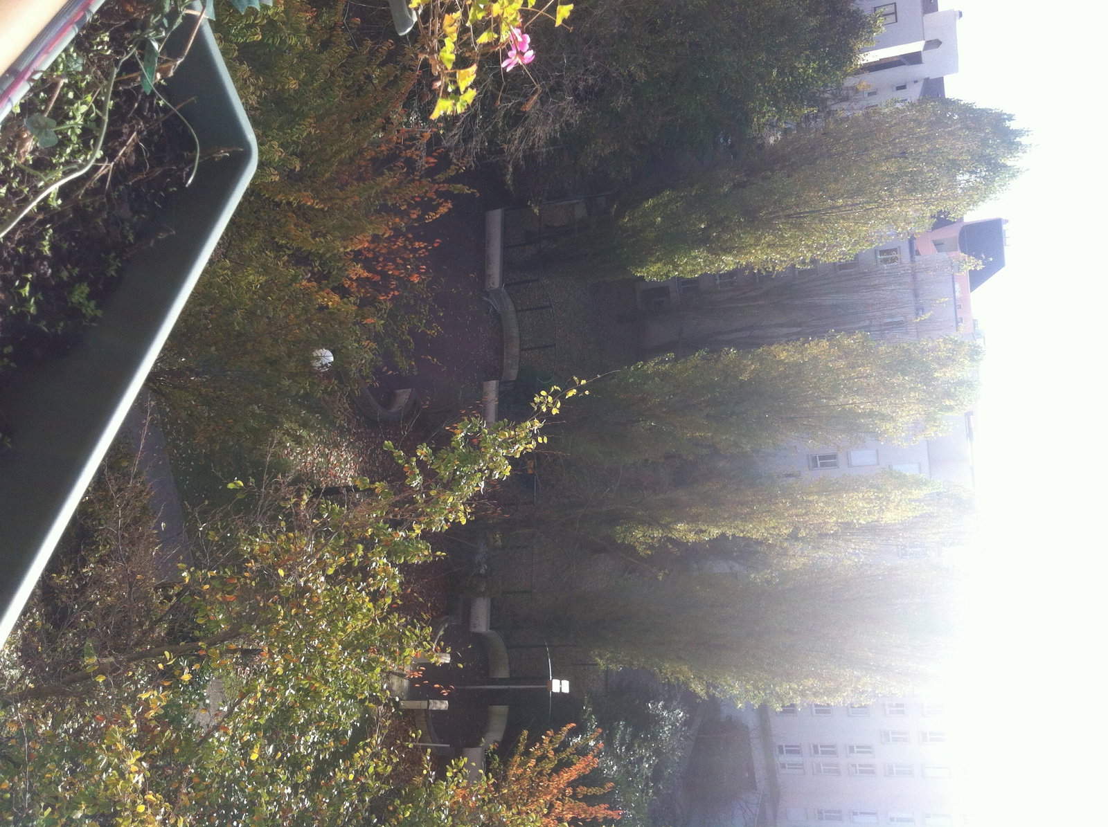 Famiglia Créteil 117911