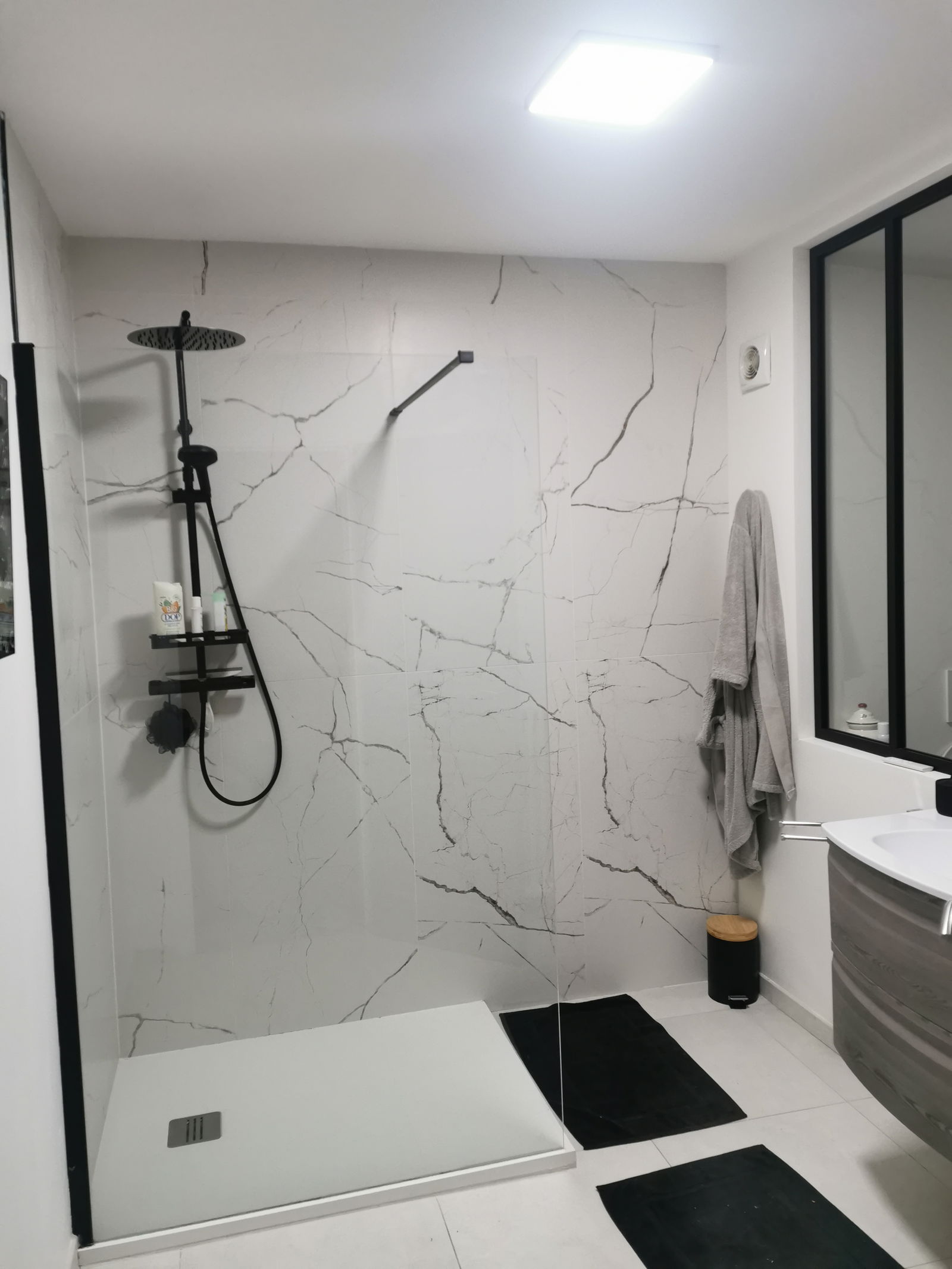 Famiglia Angers 255594