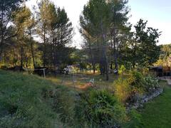 Famiglia Saint-Savournin 309147