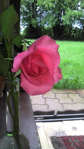 Famiglia Cormenon 37805