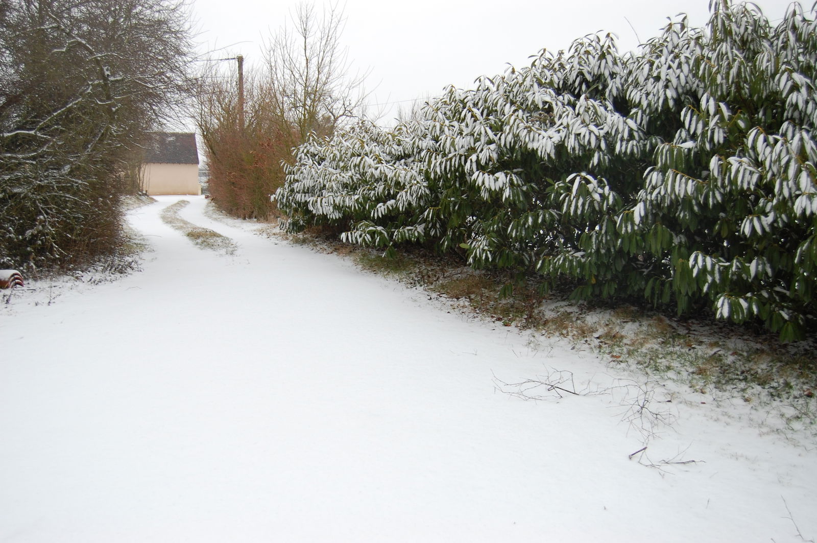 Famiglia Cormenon 37805