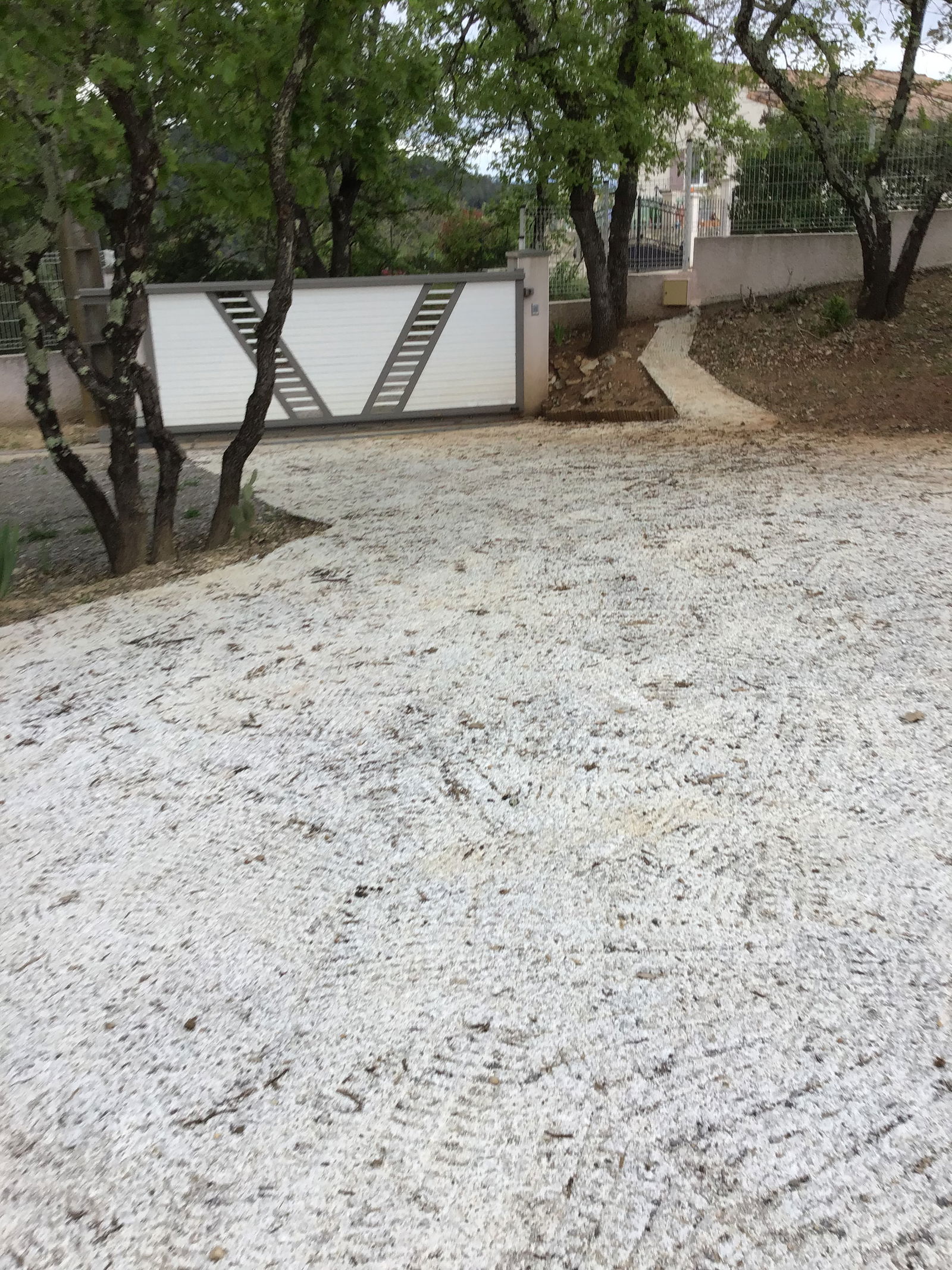 Famiglia Salavas 391965