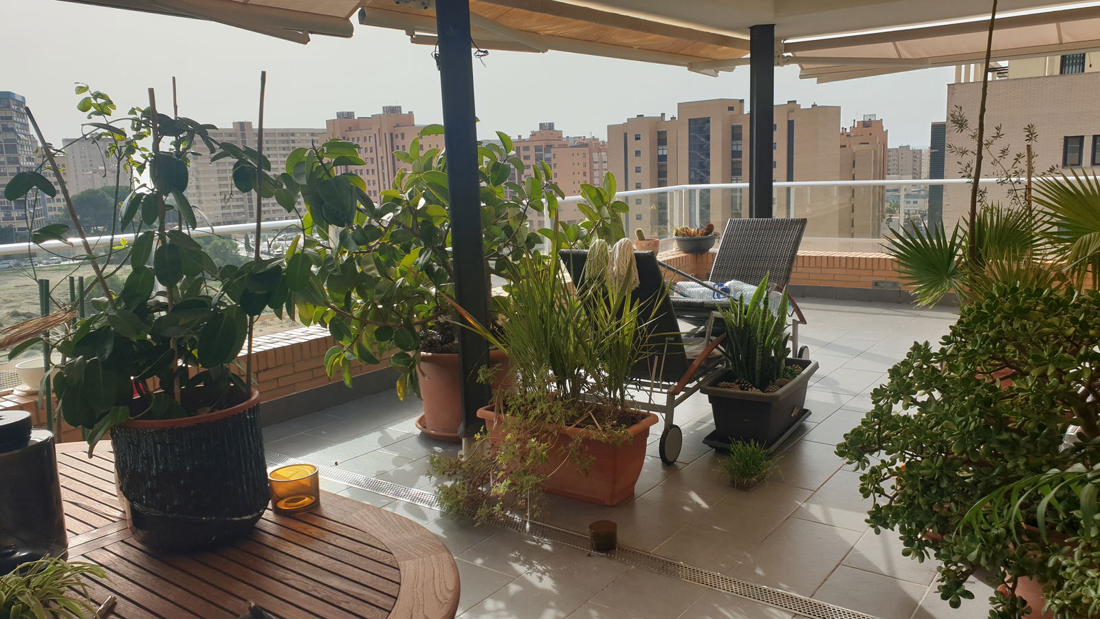 Famiglia Alacant 224874