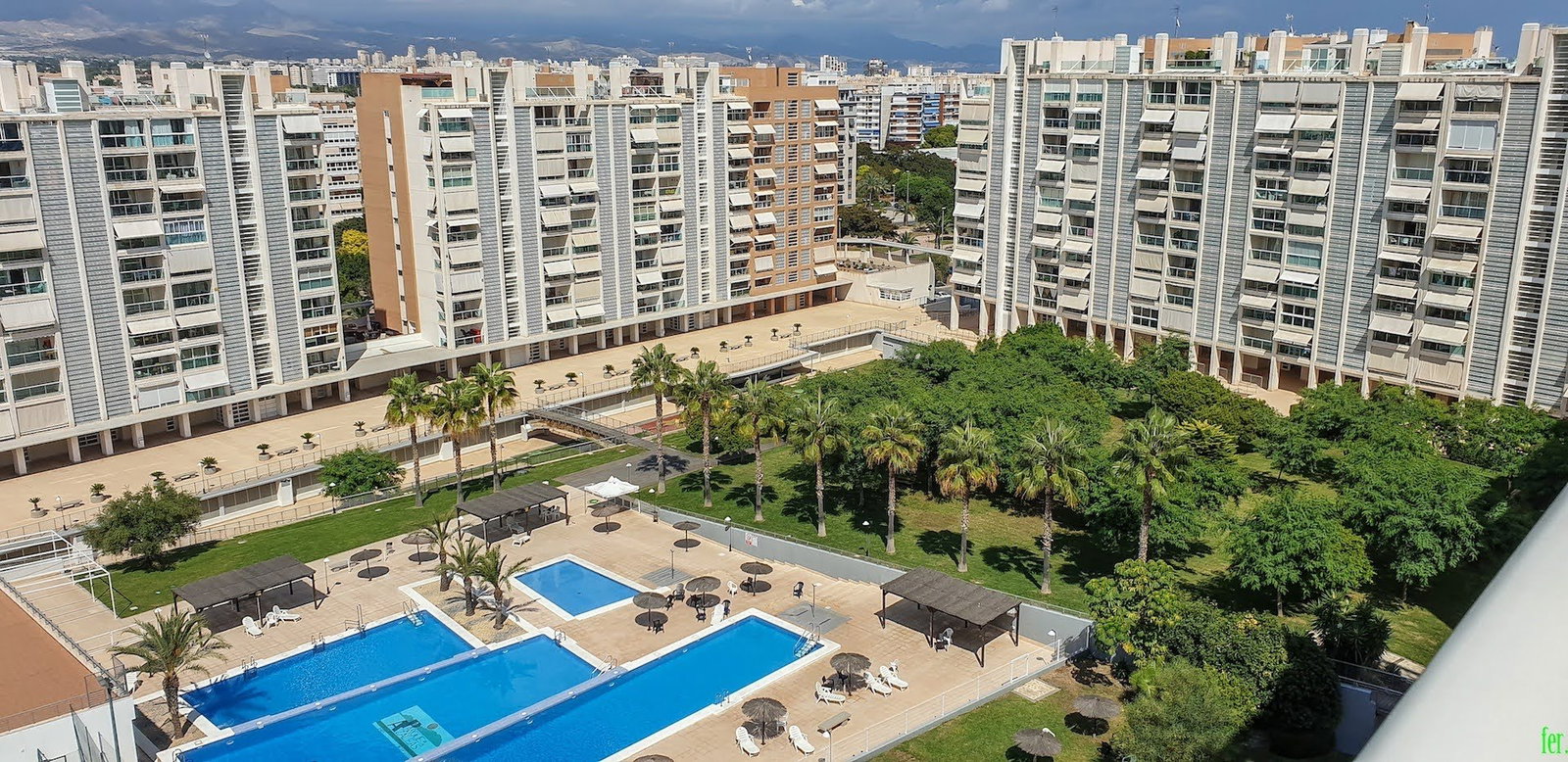 Famiglia Alacant 224874