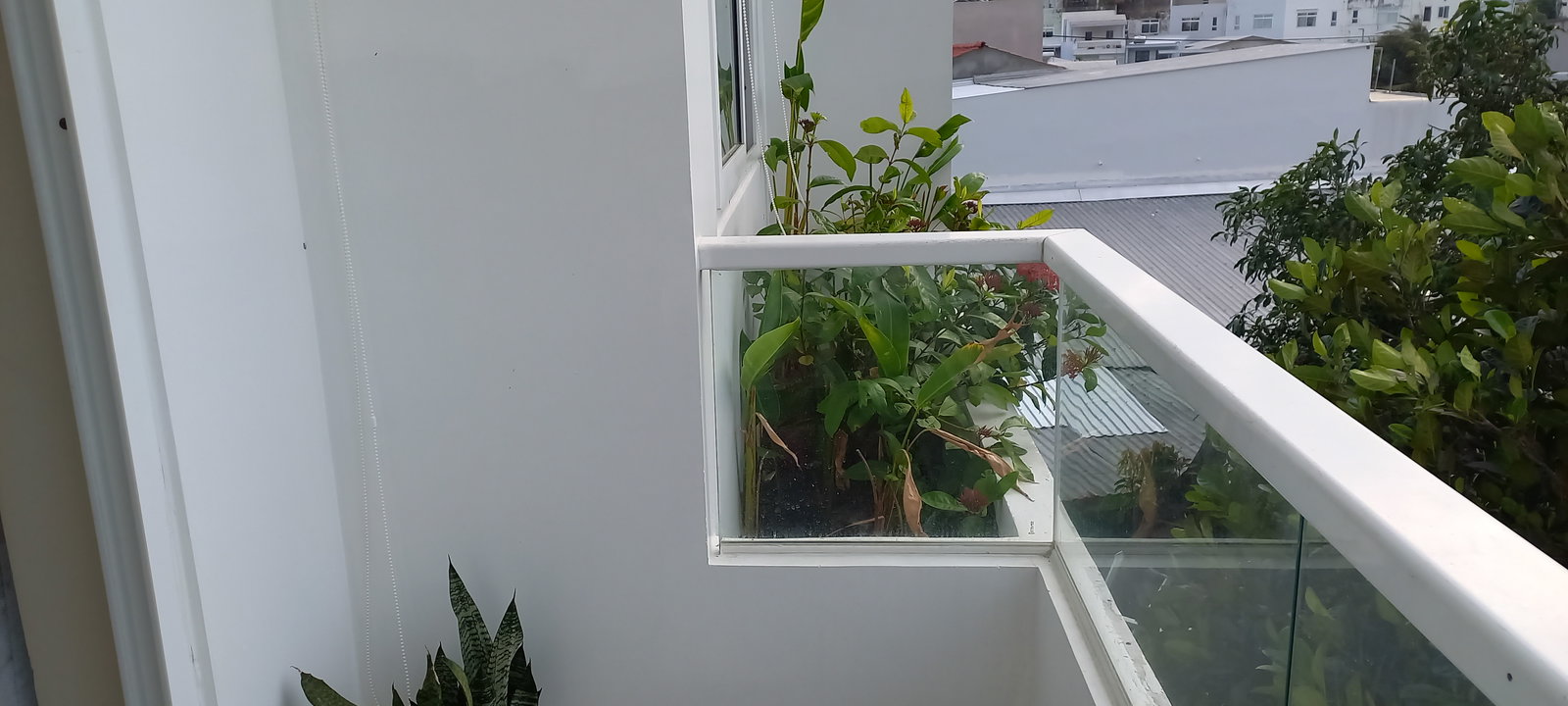 Tutta La Casa Nha Trang 192290