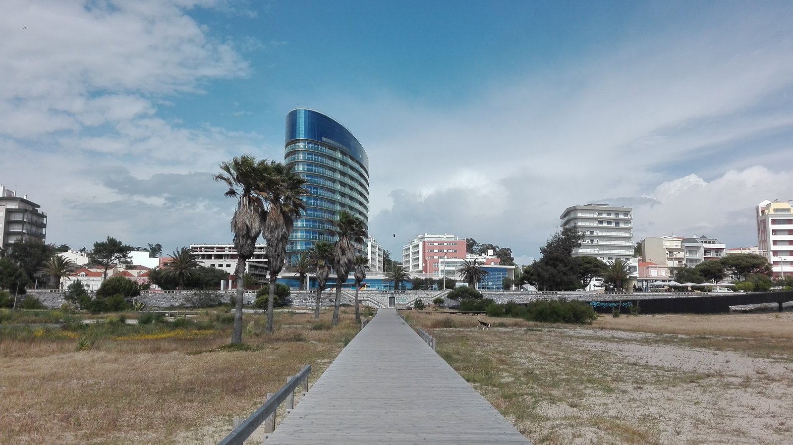 Famiglia Buarcos 210643