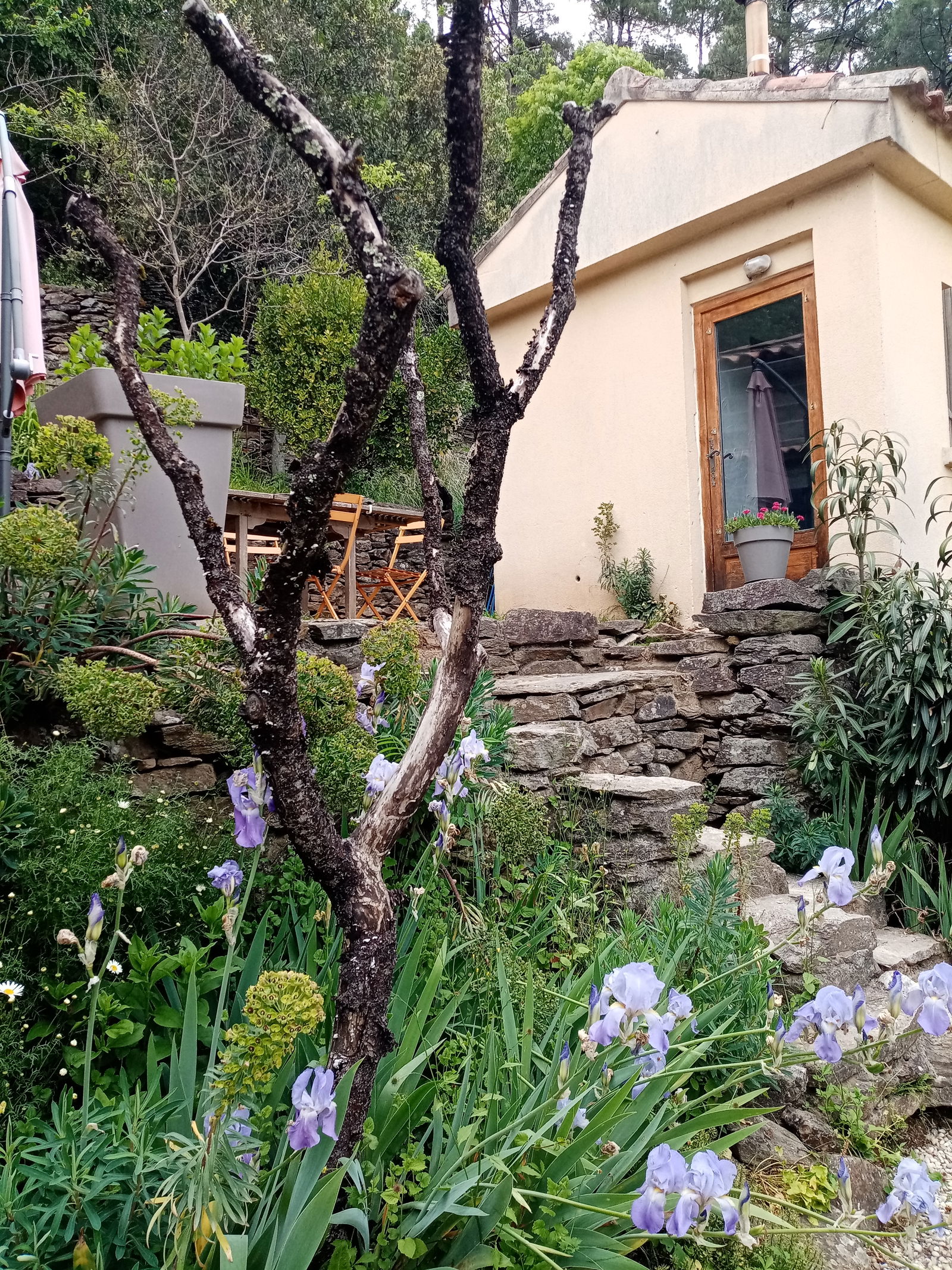 Tutta La Casa Chambon 69119